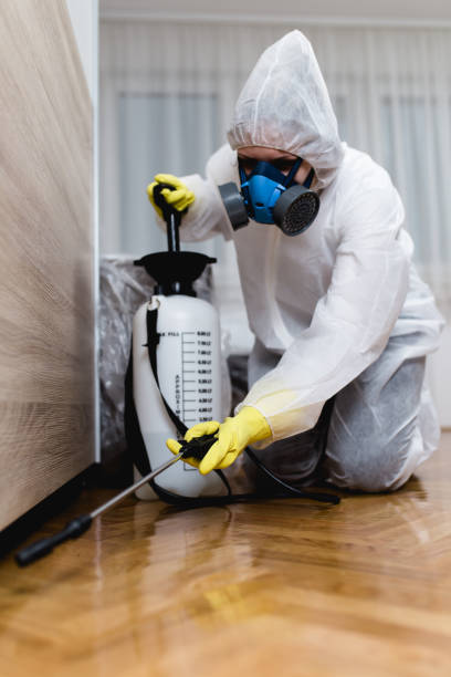 Best Bed Bug Extermination  in Jericho, NY